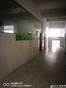 龙岗中心城成熟食品厂两层3200平带设备可装修